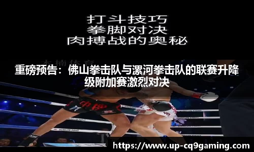 重磅预告:佛山拳击队与漯河拳击队的联赛升降级附加赛激烈对决
